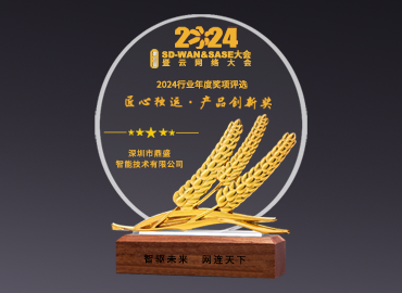 2024 SD-WAN&SASE大会·产品创新奖